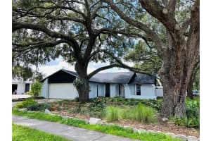 16134 Ravendale Dr, TAMPA