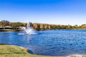 4201 WOODSTORKS WALK WAY, LUTZ, FL 33558 - MLS#MFRTB8413022