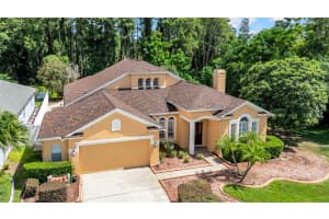 4242 WHARTON WAY, LAND O LAKES, FL 34639 - MLS#MFRTB8413024