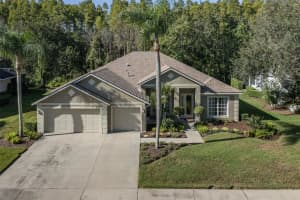 18914 Saint Laurent Dr, LUTZ