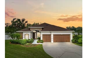 3613 Pendleton Way, LAND O LAKES