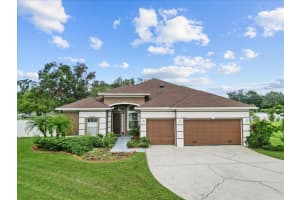 3613 PENDLETON WAY, LAND O LAKES, FL 34639 - MLS#MFRTB8413047