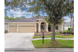9311 Mangrove Ct, TAMPA