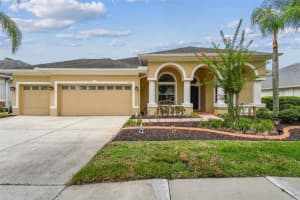 9311 MANGROVE COURT, TAMPA, FL 33647 - MLS#MFRTB8413070
