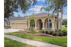 9311 MANGROVE COURT, TAMPA, FL 33647 - MLS#MFRTB8413070