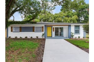 10120 N Aster Ave, TAMPA