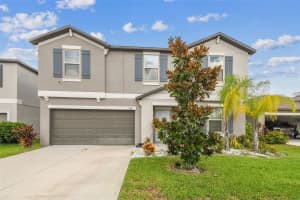 12941 WILDFLOWER MEADOW DRIVE, RIVERVIEW, FL 33579 - MLS#MFRTB8413170