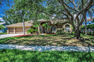 1516 LAKE WOODLANDS PARKWAY, OLDSMAR, FL 34677 - MLS#MFRTB8413198