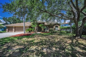 1516 LAKE WOODLANDS PARKWAY, OLDSMAR, FL 34677 - MLS#MFRTB8413198