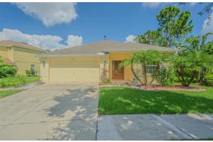 20520 SULTANA COURT, TAMPA, FL 33647 - MLS#MFRTB8413209