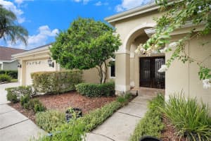 11918 KEATING DRIVE, TAMPA, FL 33626 - MLS#MFRTB8413230