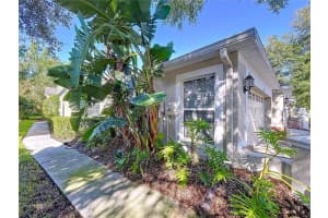 15723 PHOEBEPARK AVENUE, LITHIA, FL 33547 - MLS#MFRTB8413240