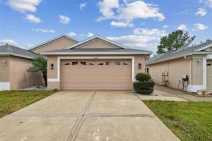 31451 Shaker Cir, WESLEY CHAPEL