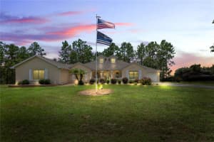 14204 HIGHGROVE ROAD, SPRING HILL, FL 34609 - MLS#MFRTB8413261