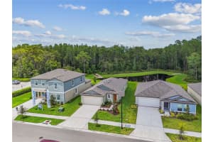 10077 Gentle Rain Dr, LAND O LAKES