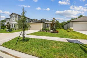 10077 GENTLE RAIN DRIVE, LAND O LAKES, FL 34638 - MLS#MFRTB8413268