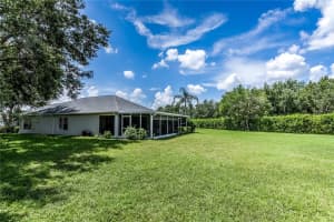 8033 SHADDOCK PLACE, LAND O LAKES, FL 34637 - MLS#MFRTB8413288