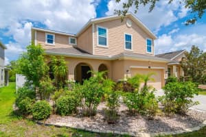11620 WARREN OAKS PLACE, RIVERVIEW, FL 33578 - MLS#MFRTB8413321
