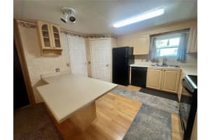 162 HICKORY GATE DRIVE, PALM HARBOR, FL 34684 - MLS#MFRTB8413339