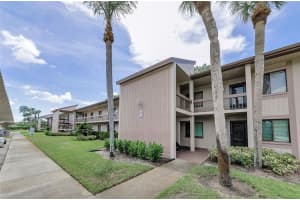 213 MARY DRIVE, OLDSMAR, FL 34677 - MLS#MFRTB8413405