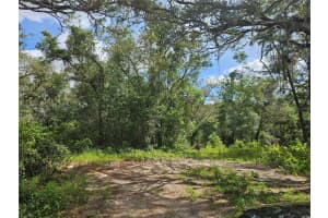 US HIGHWAY 41, SPRING HILL, FL 34610 - MLS#MFRTB8413434