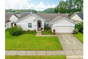 14136 STONEGATE DRIVE, TAMPA, FL 33624 - MLS#MFRTB8413455