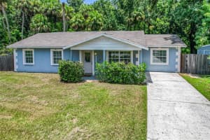 2906 WILLOW DRIVE, PLANT CITY, FL 33566 - MLS#MFRTB8413466
