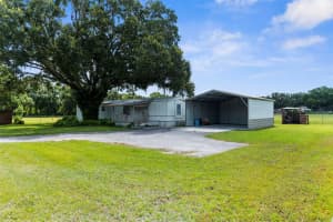 9875 PANGOLA LOOP, LAND O LAKES, FL 34639 - MLS#MFRTB8413471