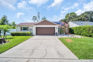 3436 Shorncliffe Ln, PALM HARBOR