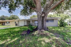 10226 WILLOW DRIVE, PORT RICHEY, FL 34668 - MLS#MFRTB8413492
