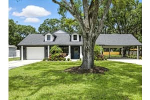 10215 Oslin St, TAMPA