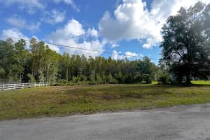 26305 BLUESTRIPE DRIVE, WESLEY CHAPEL, FL 33544 - MLS#MFRTB8413515