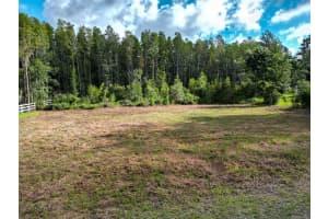 26305 BLUESTRIPE DRIVE, WESLEY CHAPEL, FL 33544 - MLS#MFRTB8413515