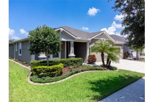 1010 BETTER DAYS PLACE, VALRICO, FL 33594 - MLS#MFRTB8413516