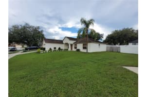 4233 AMBER RIDGE LANE, VALRICO, FL 33594 - MLS#MFRTB8413524