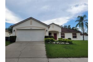 4233 AMBER RIDGE LANE, VALRICO, FL 33594 - MLS#MFRTB8413524