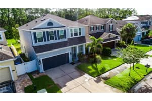 11323 QUIET FOREST DRIVE, TAMPA, FL 33635 - MLS#MFRTB8413534