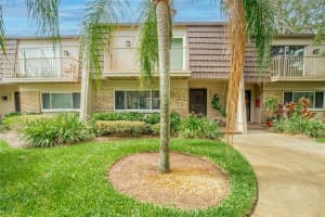10604 CARROLLBROOK LANE, TAMPA, FL 33618 - MLS#MFRTB8413565