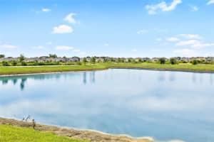 2040 LANIER ROAD, ZEPHYRHILLS, FL 33541 - MLS#MFRTB8413583