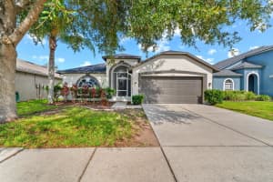 3521 Clover Blossom Cir, LAND O LAKES