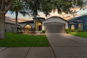 3521 CLOVER BLOSSOM CIRCLE, LAND O LAKES, FL 34638 - MLS#MFRTB8413598