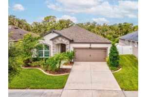 12925 Satin Lily Dr, RIVERVIEW