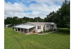 8205 IRENE STREET, ZEPHYRHILLS, FL 33540 - MLS#MFRTB8413645
