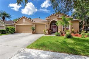 10132 Downey Ln, TAMPA