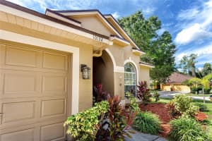 10132 DOWNEY LANE, TAMPA, FL 33626 - MLS#MFRTB8413653