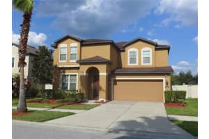 11054 Spring Point Cir, RIVERVIEW