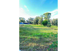 5910 DONAHUE LANE, HOMOSASSA, FL 34448 - MLS#MFRTB8413668