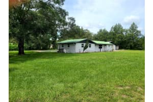 23334 BRANDY ROAD, LAND O LAKES, FL 34639 - MLS#MFRTB8413672