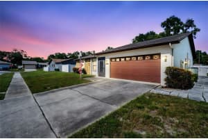 346 CHERRY LAUREL DRIVE, PALM HARBOR, FL 34683 - MLS#MFRTB8413699