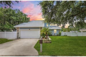 428 KLOSTERMAN ROAD, PALM HARBOR, FL 34683 - MLS#MFRTB8413706